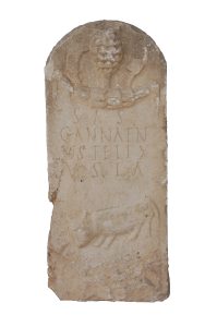 Matt McCarty has Received a SSHRC Explore Grant for Reforesting Roman Africa Project